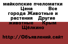  майкопские пчеломатки F-1  › Цена ­ 800 - Все города Животные и растения » Другие животные   . Крым,Щёлкино